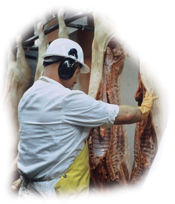 Photo of meat inspector