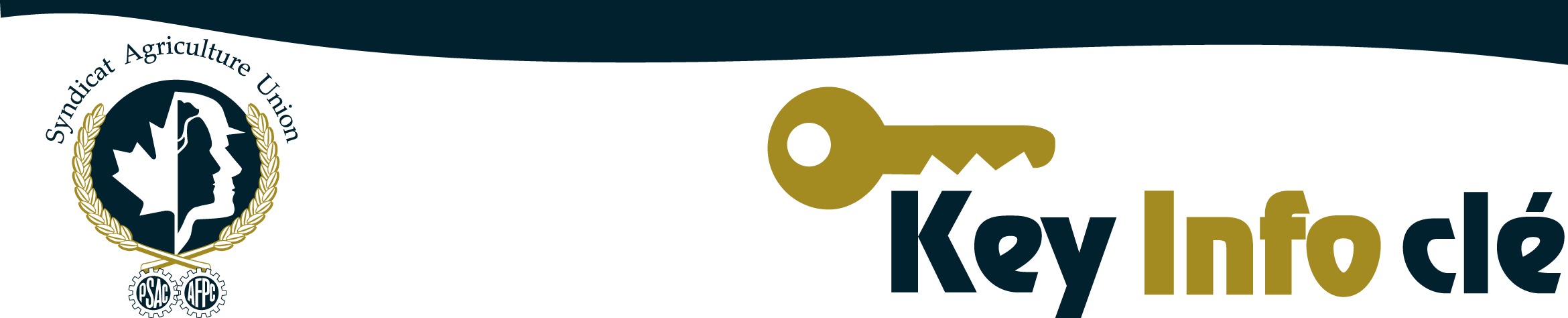 'KeyInfo' logo