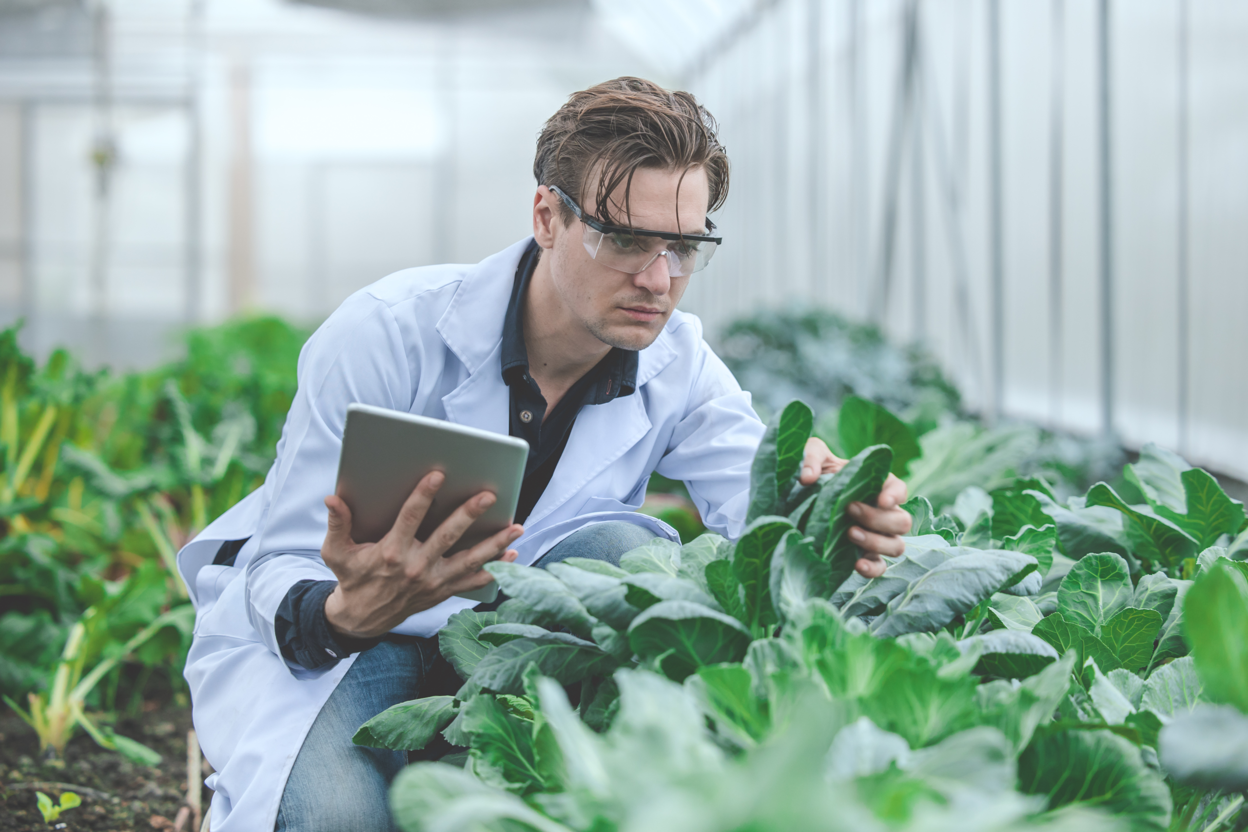 Parliamentary Committee Report Confirms Farm Research Centre Closures Threaten Jobs, Agriculture, and Food Security