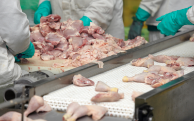 Buried in Bill C-30: New Powers Could Exempt Companies from Food Safety Laws, Unions Warn
