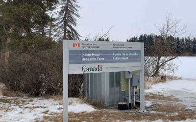 Despite federal-provincial agreement, saskatchewan research farms still at risk