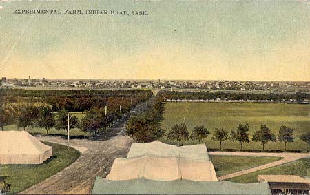 lxx0825 experimental farm, indian head 1911