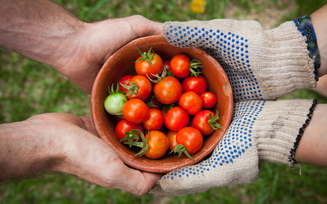 Carney: don’t gamble with canada’s food security