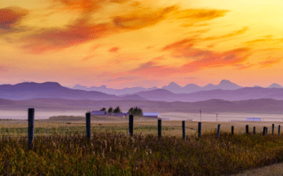Statement on the Safety of CFIA Employees and the Protest of an Ostrich Cull in Edgewood, BC