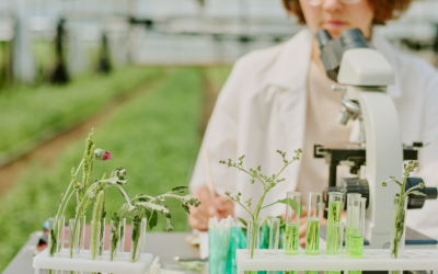 Government Turns its Back on Committee Report to Save Agricultural Research Centres