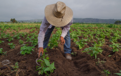 This world food day, let’s put food safety first