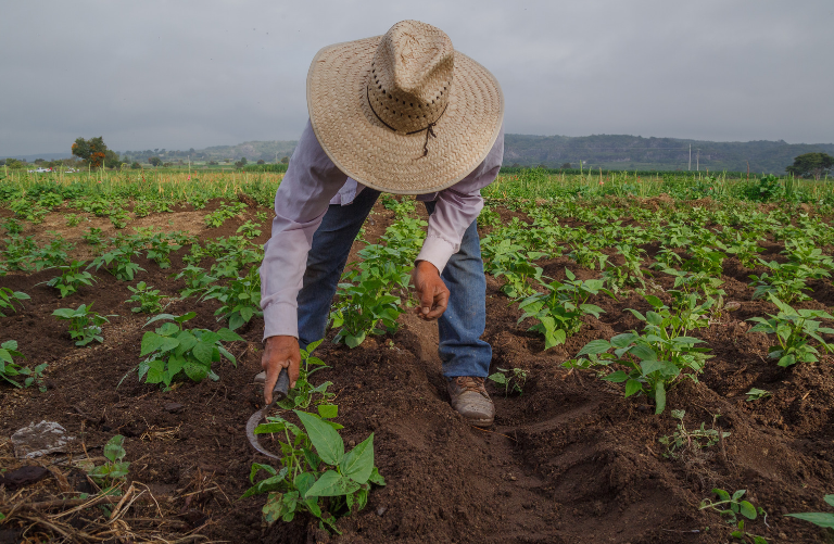 This world food day, let’s put food safety first